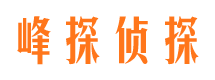 巨鹿找人公司